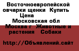 Восточноевропейской овчарки щенки. Купить › Цена ­ 30 000 - Московская обл., Москва г. Животные и растения » Собаки   